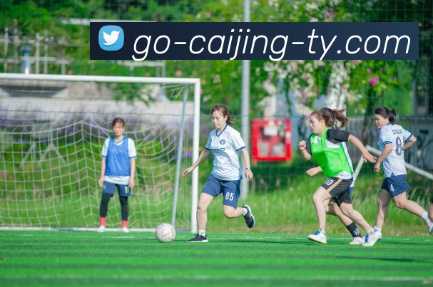 彩经网平台生态图